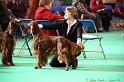 Crufts2011 007